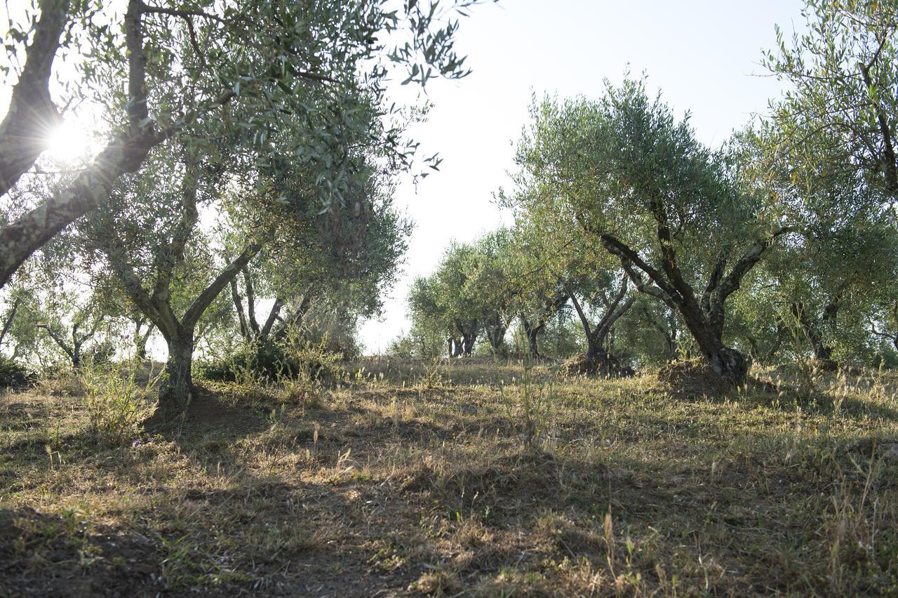 Agriturismo Poggio Corbello Villa La Pesta Exterior foto