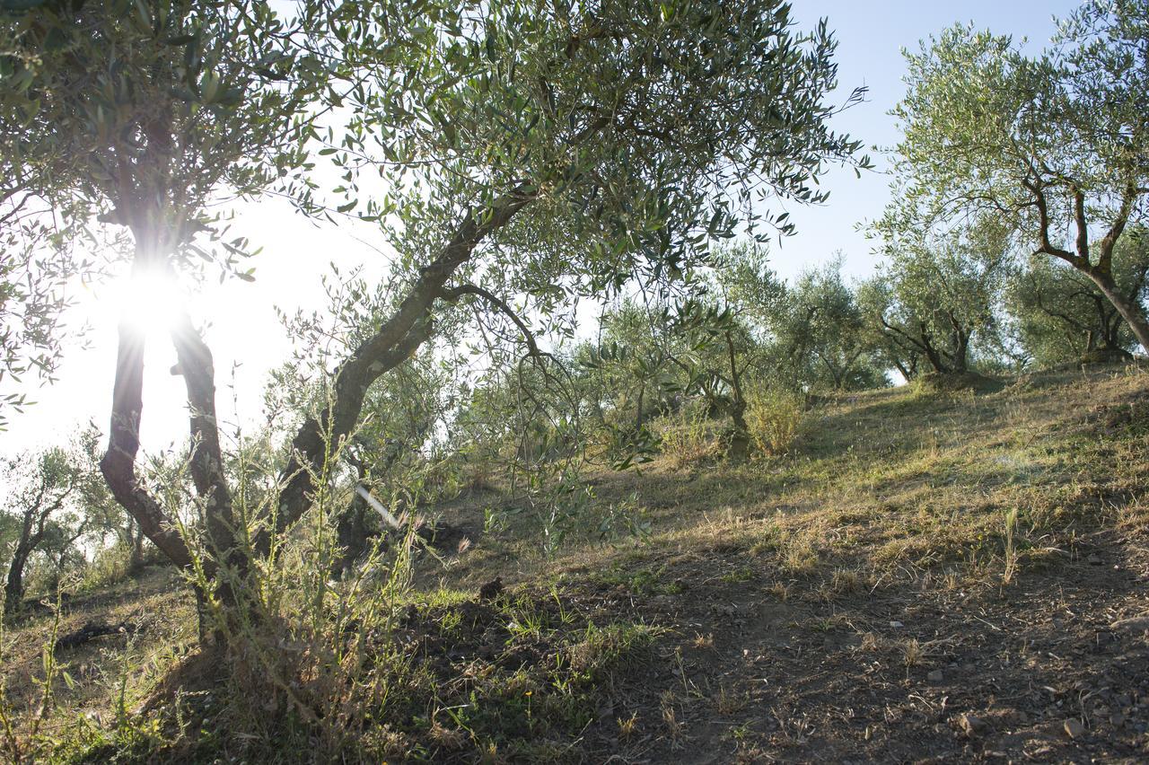 Agriturismo Poggio Corbello Villa La Pesta Exterior foto