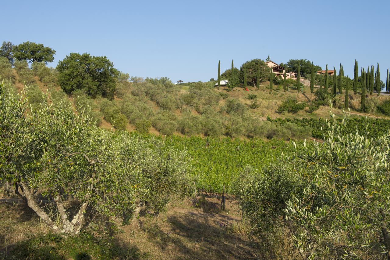 Agriturismo Poggio Corbello Villa La Pesta Exterior foto