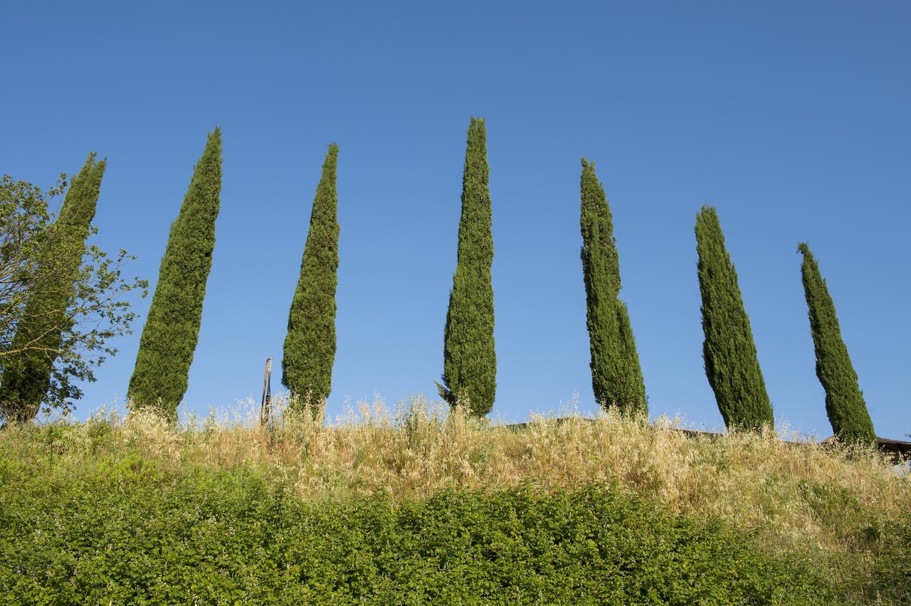 Agriturismo Poggio Corbello Villa La Pesta Exterior foto